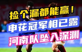 申花前景堪忧，保级任务艰巨需全队齐心协力的简单介绍