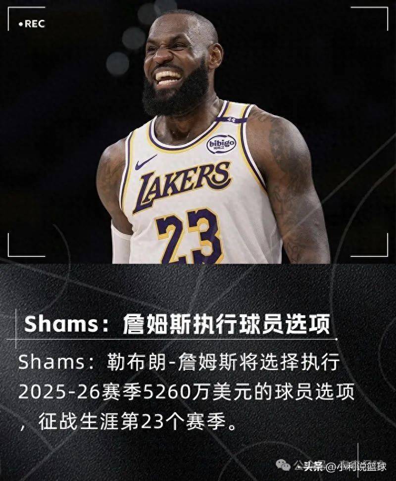 詹姆斯缺席战将，湖人遭遇艰难反扑势头受挫的简单介绍