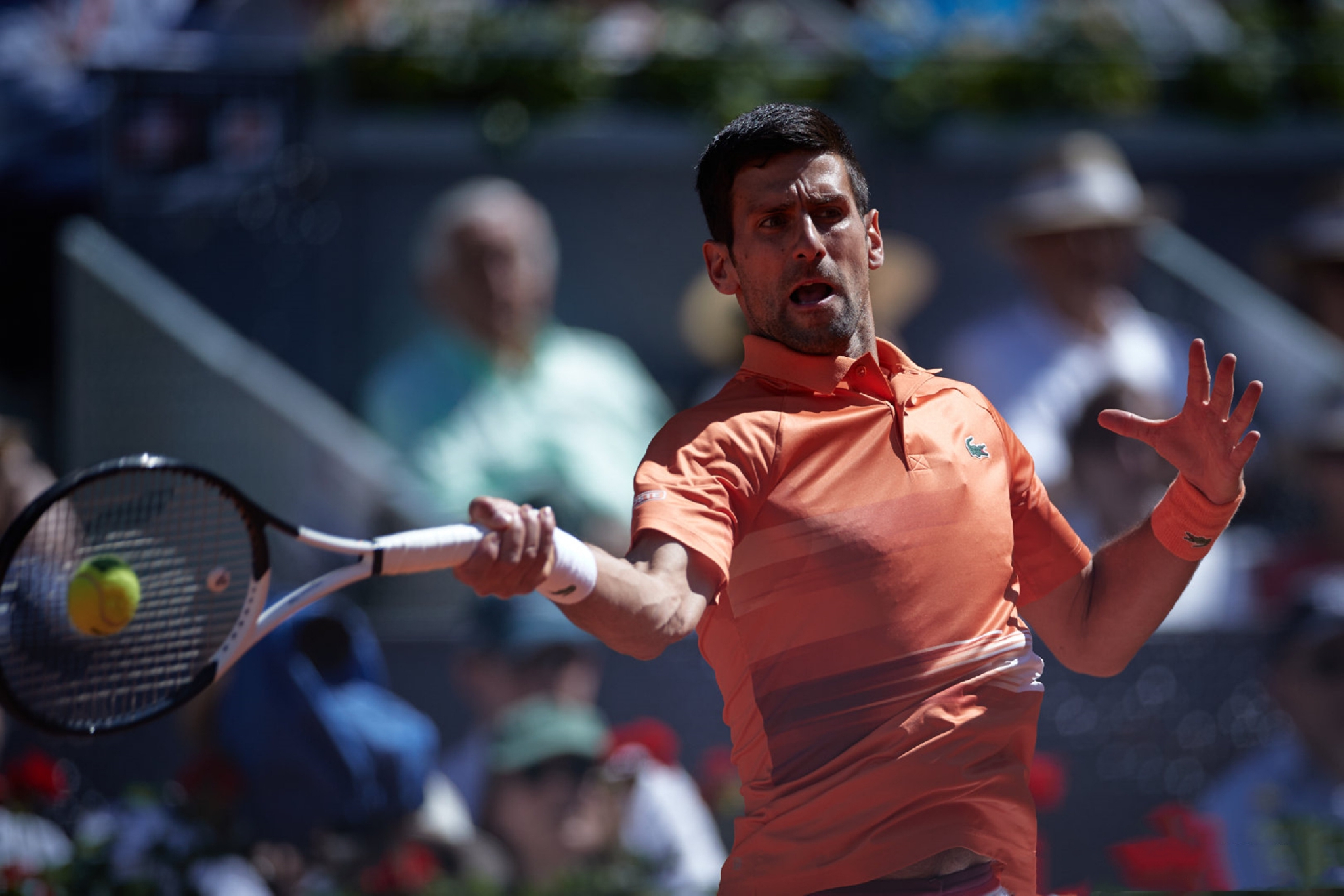 ATP总决赛横扫法网,德约科维奇惊艳四座 ATP总决赛横扫法网,德约科维奇惊艳四座