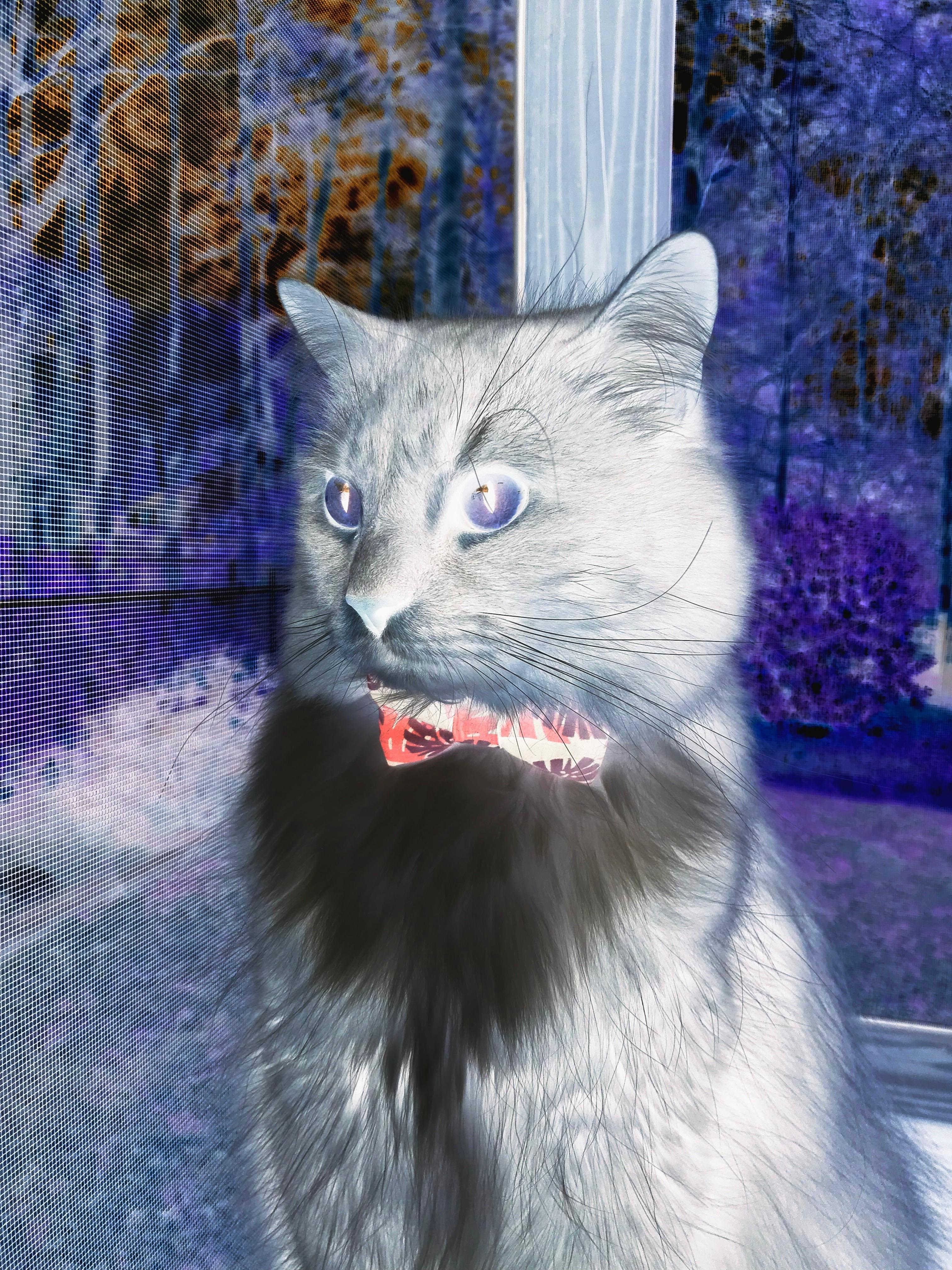 钢铁洪流碾碎银黑防线，当字母哥化身当代奥尼尔，马刺的年轻内线如何被上课？