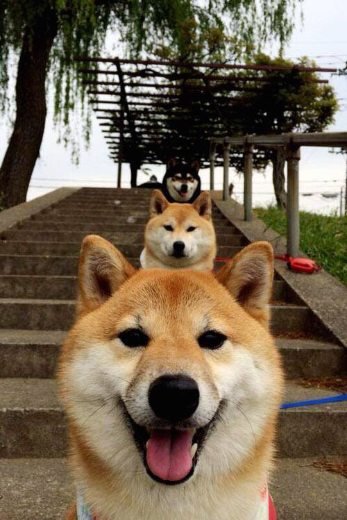 传统豪门铁幕溃散！保罗第三节狂飙扼杀绿军逆转希望