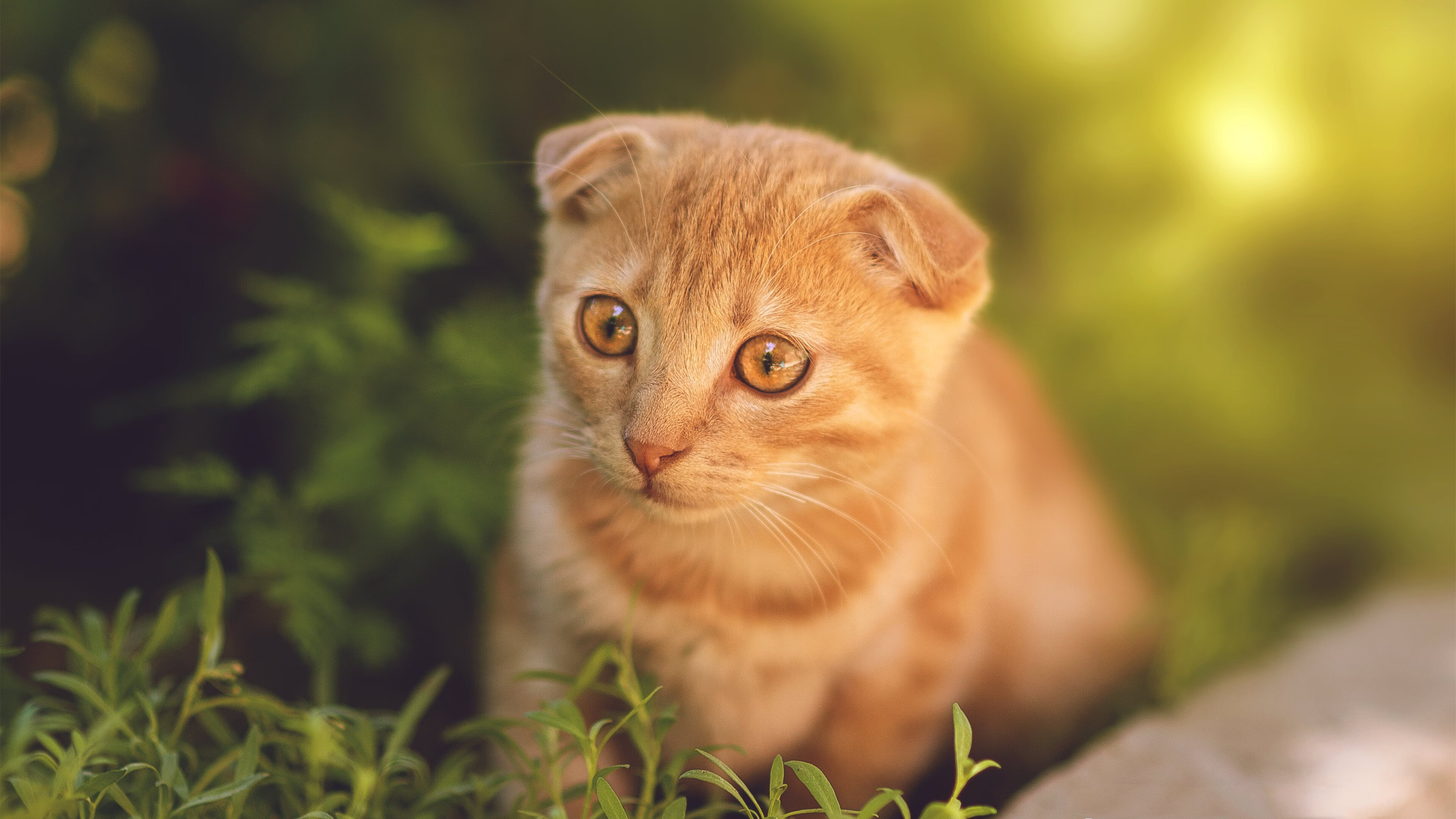 一剑封喉！杜兰特超神演出导演冷门，热火逆袭猛龙