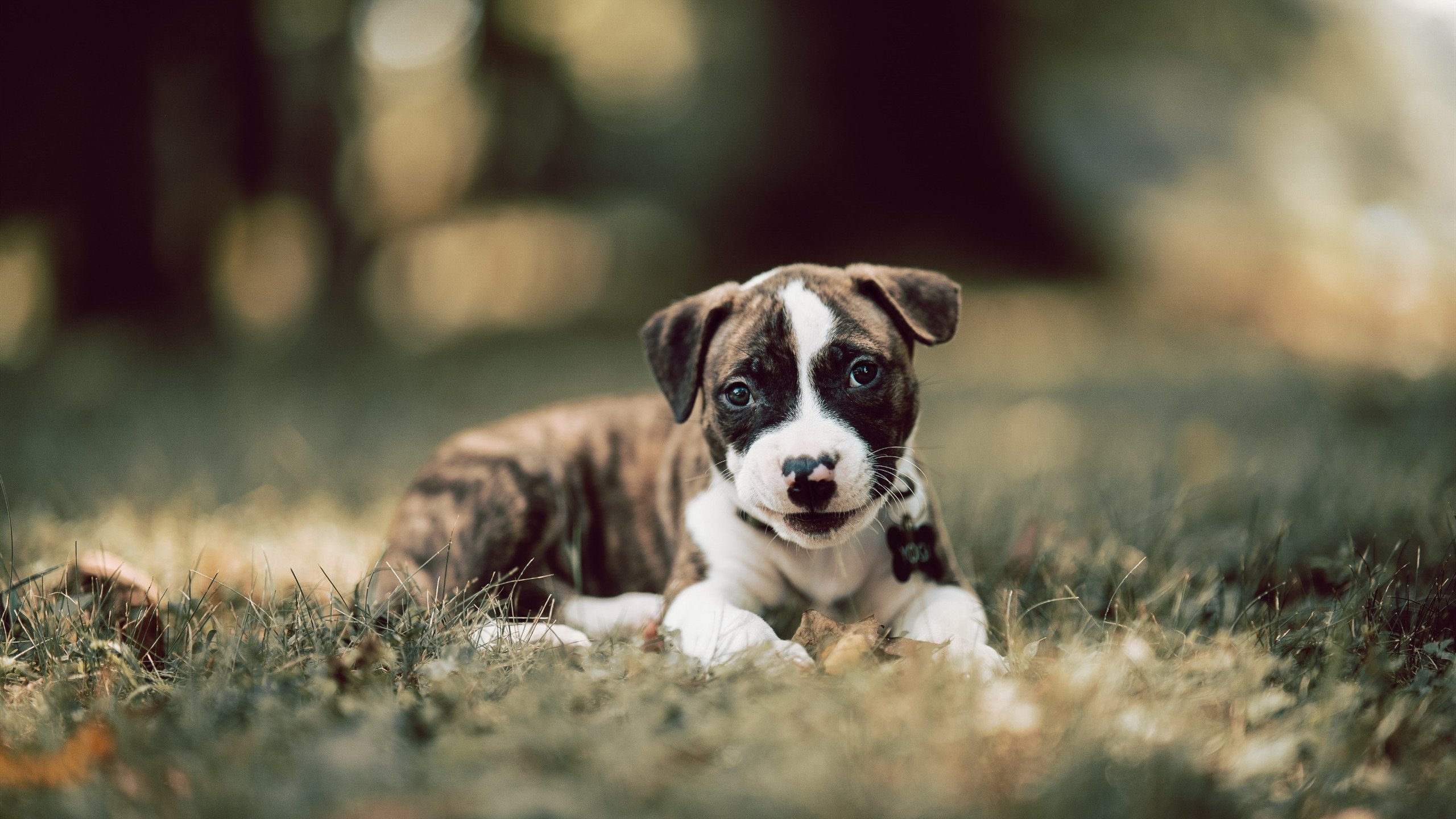 哈登37分定乾坤!热火生死战力擒广厦关键战