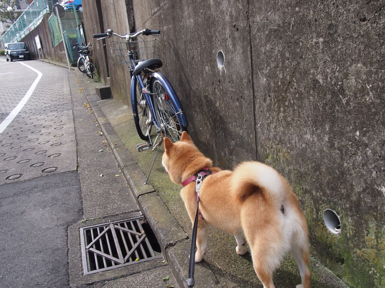 布克一手掌控比赛走势，凯尔特人与篮网的巅峰对决