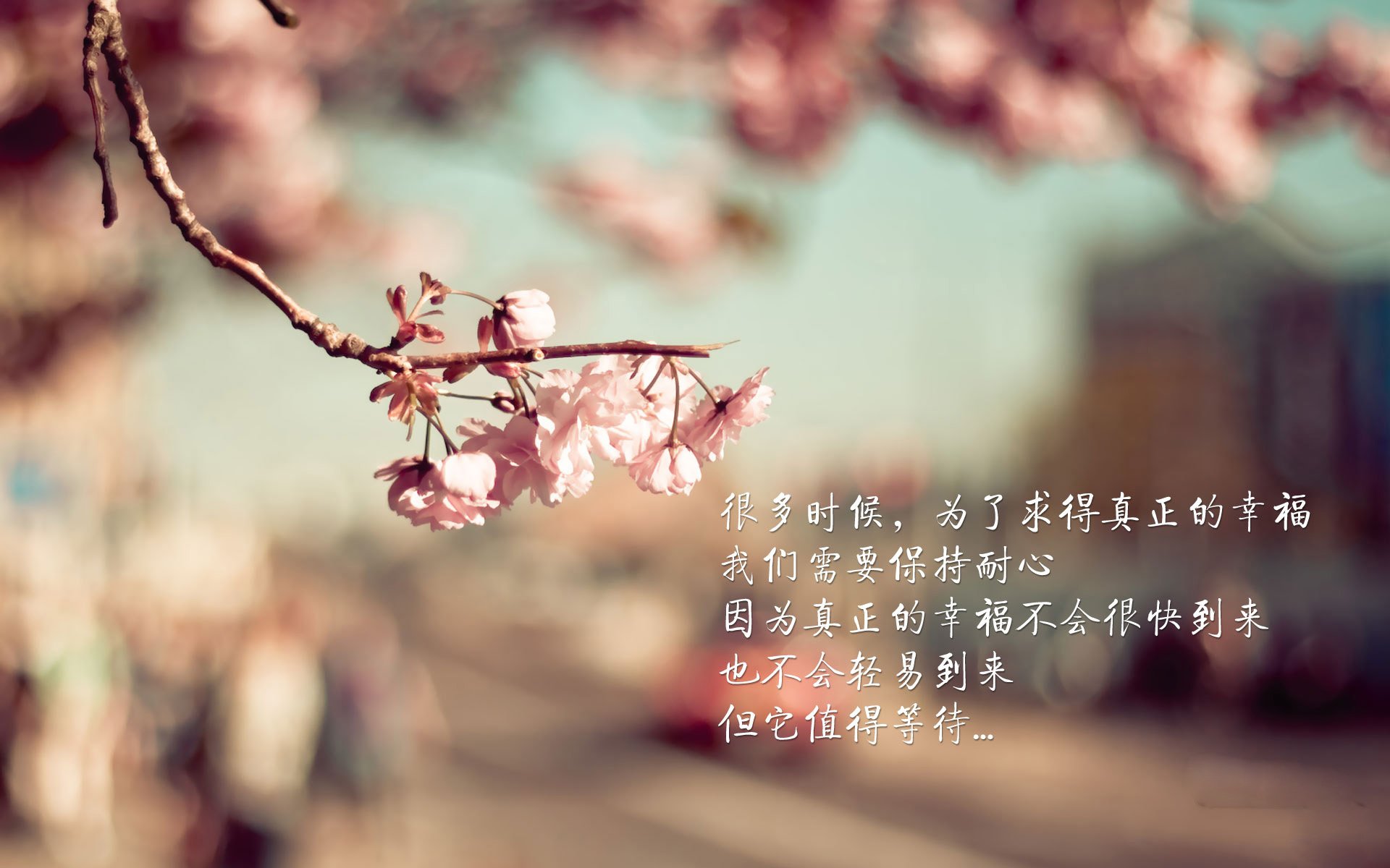 鏖战风云，布伦森关键先生助鹈鹕力克奇才