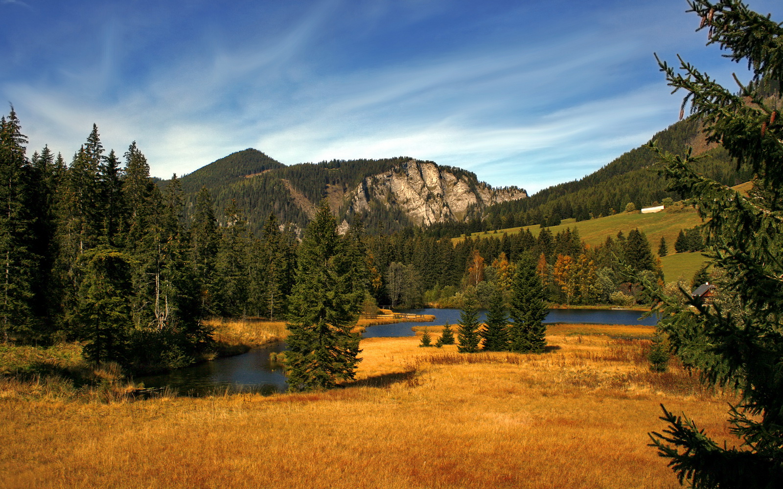 若日尼奥梦幻舞步撕裂蓝鹰，牙买加旋风席卷奥林匹克球场