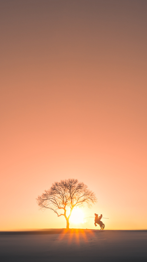 双星闪耀夜，克瓦拉茨赫利亚魔力绽放，塞内加尔力克澳大利亚