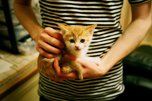 开云体育登录-东方巨人碰撞草原雄鹰，广厦全面压制，爱德华兹空砍高光