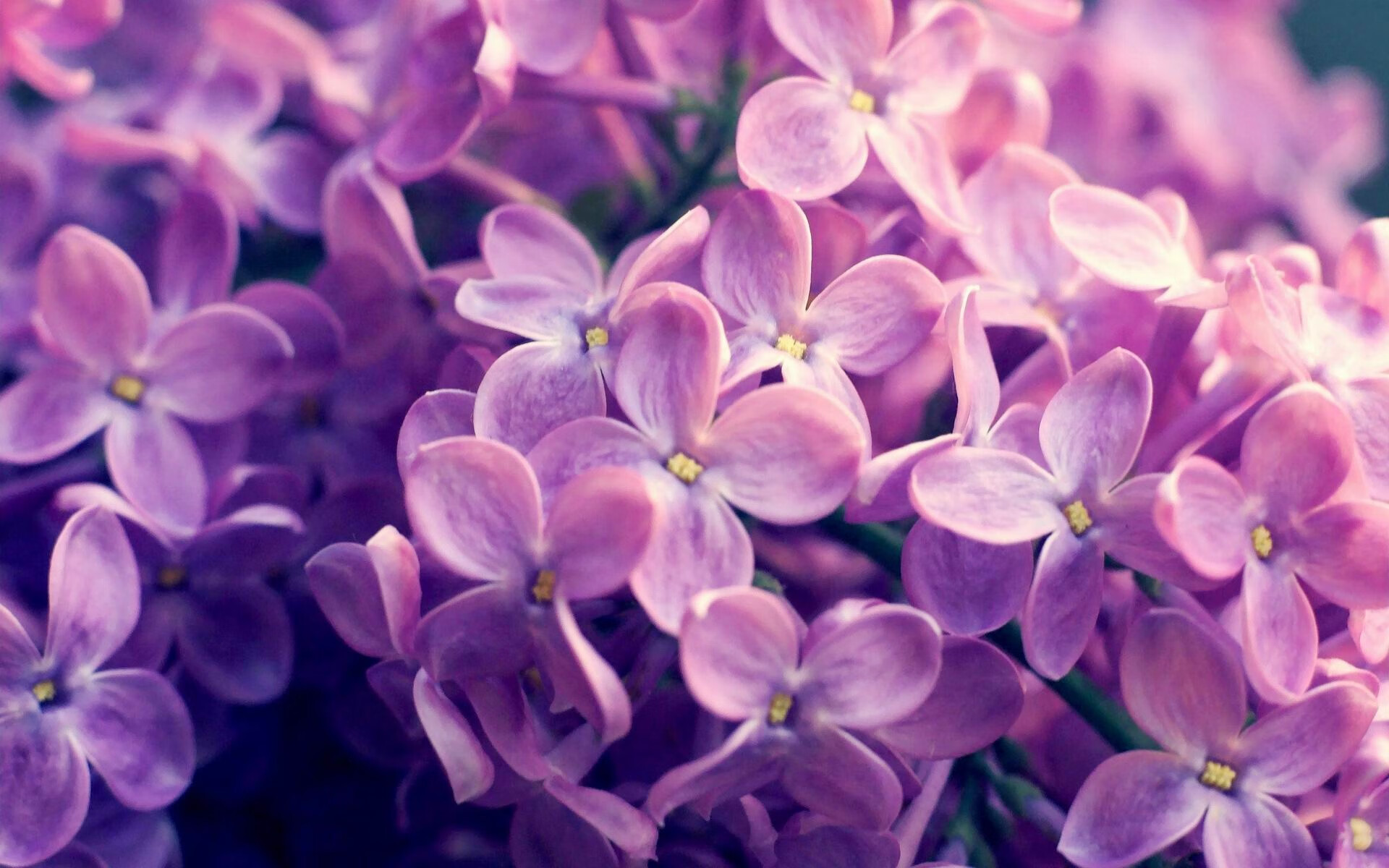 开云体育入口-文班亚马封神之战，火箭对尼克斯中的硬仗之王