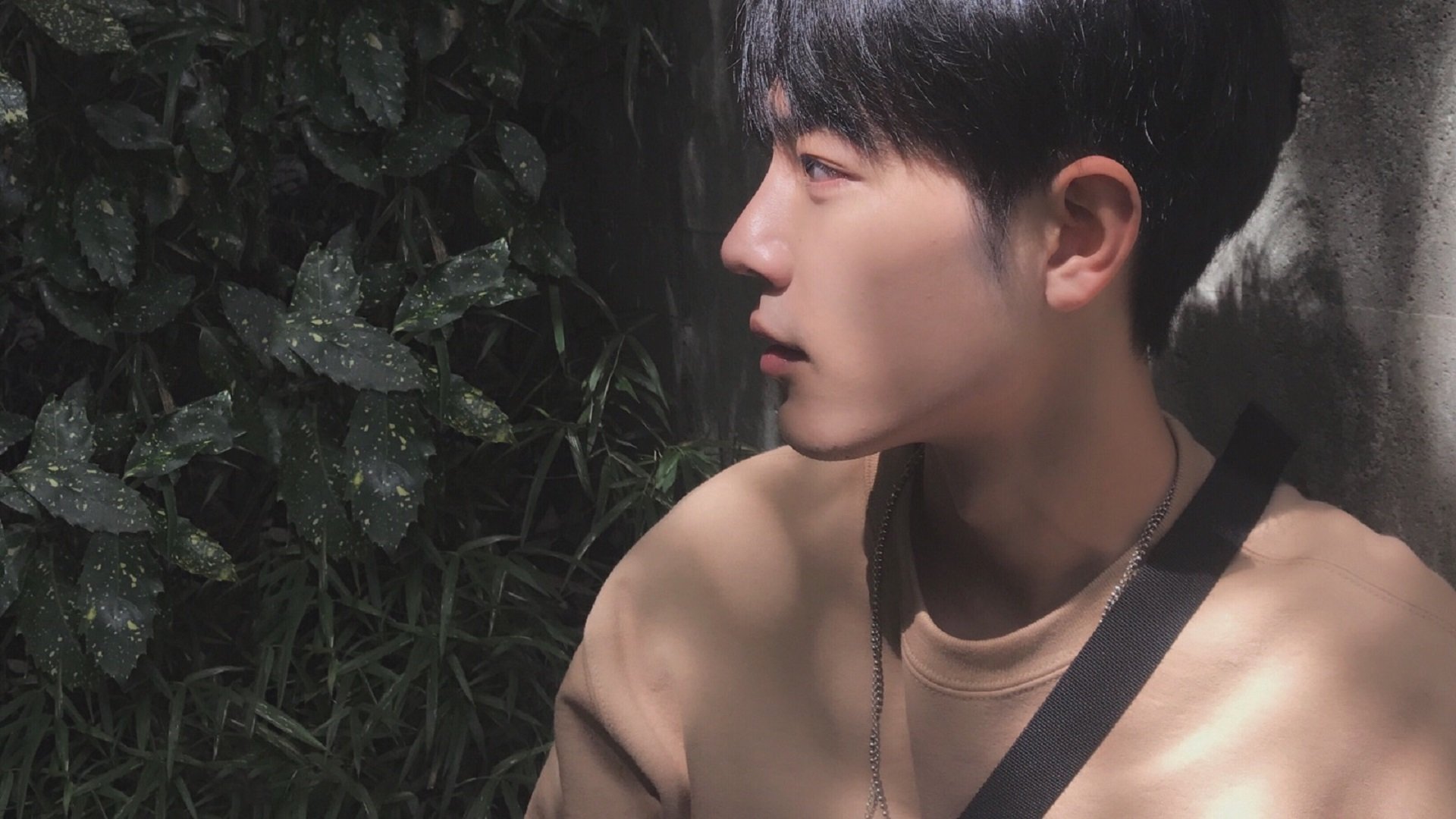 开云官网-戈贝尔临危受命，独行侠轻取步行者