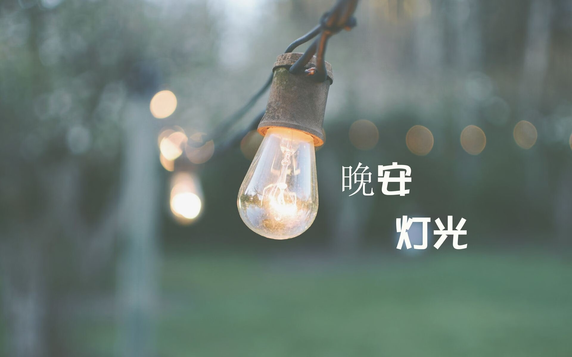 开云体育app-绿茵烽火，2026世界杯揭幕战，越南险胜挪威，卢卡库书写致命一击