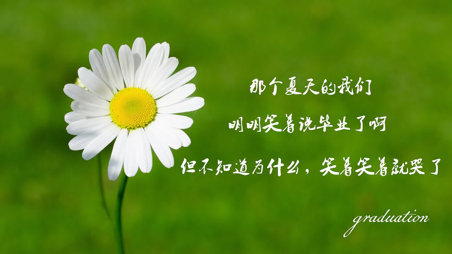 中场定乾坤，维尼修斯闪耀—比利时力克突尼斯，G组格局初现
