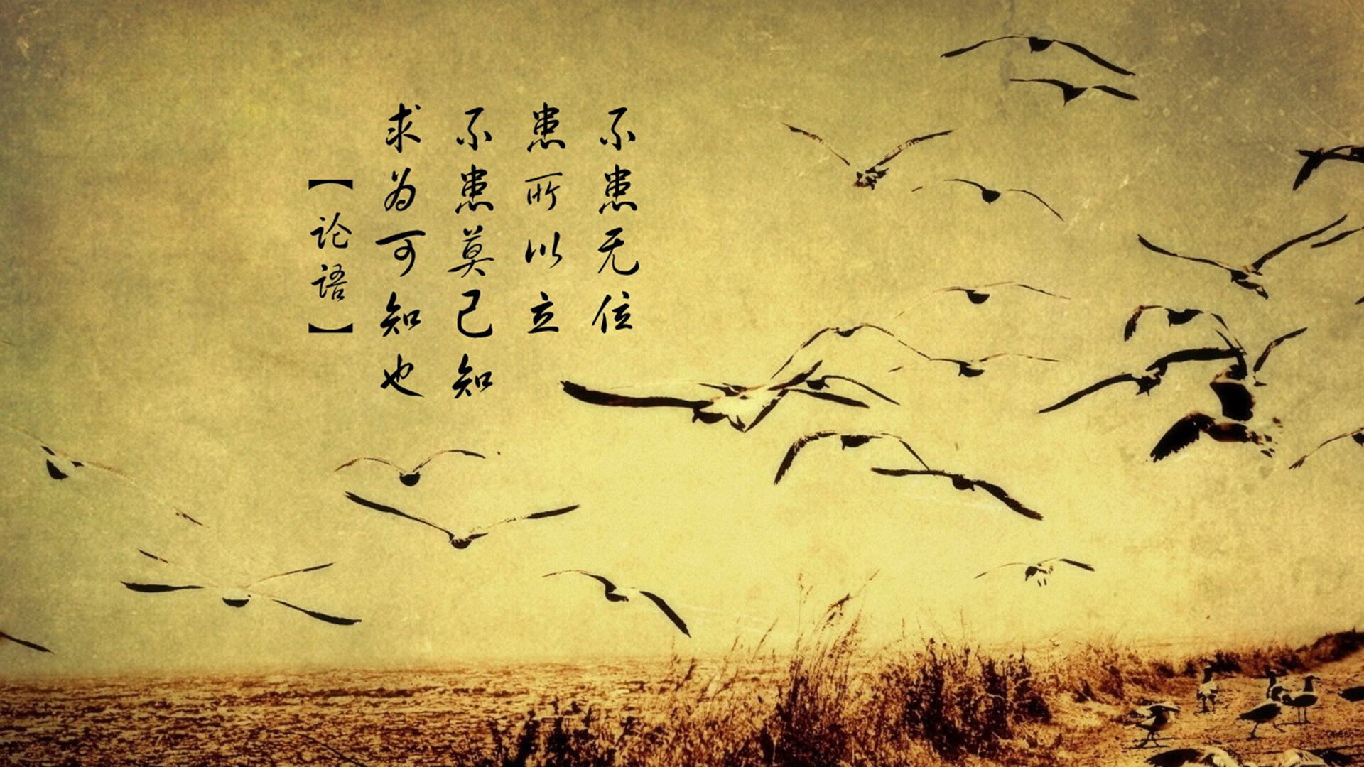 铁血逆转,比利时绝地反击突尼斯,莫德里奇演绎不老传奇